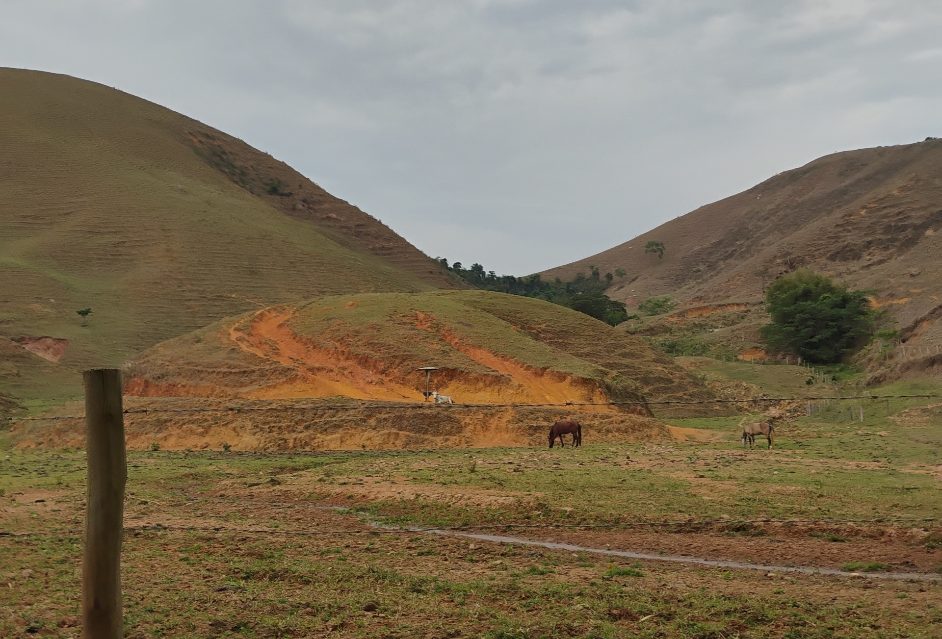 Regularização Ambiental e Apoio Técnico